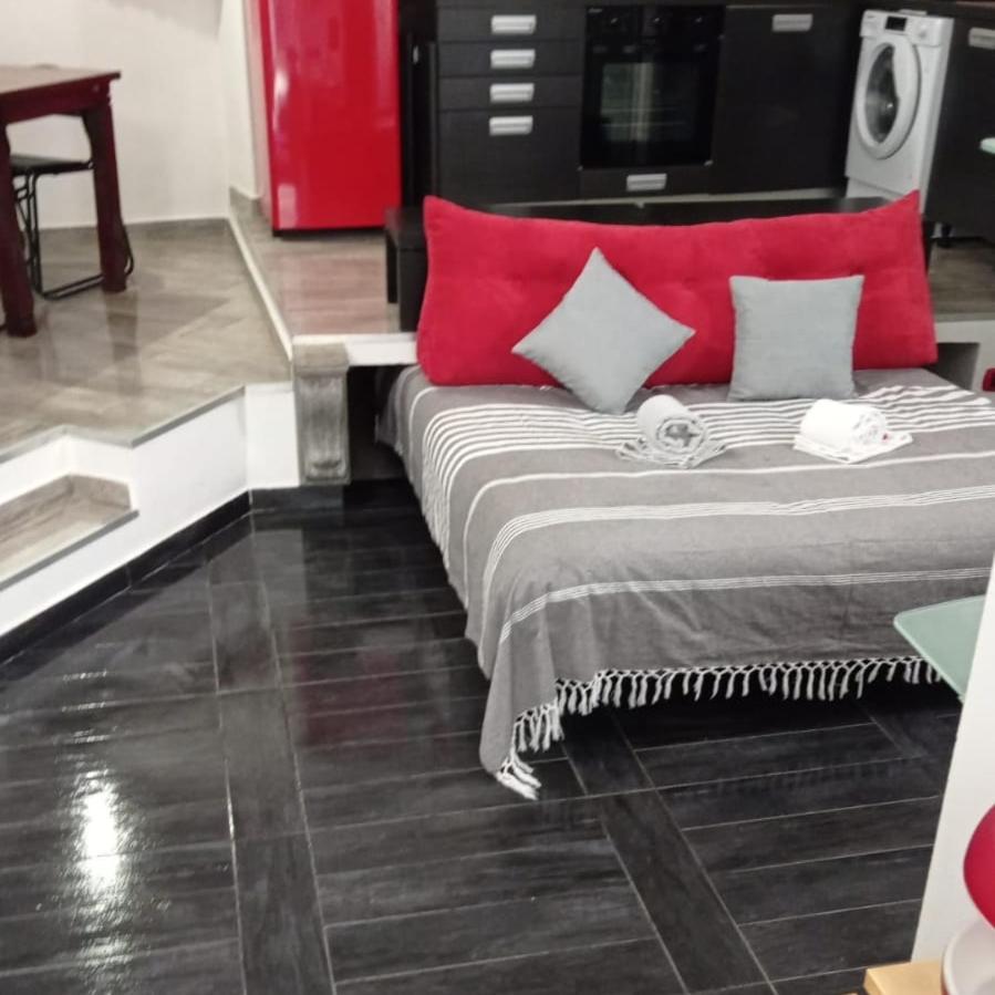 Roserosse Casa Vacanze 圣雷默 外观 照片